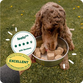 Rated excellent by experts & pet parents